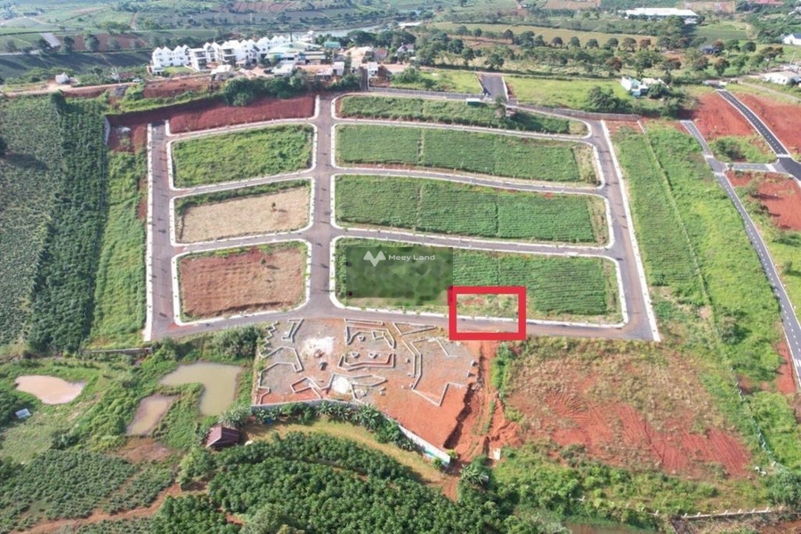 Ở Bảo Lâm, Lâm Đồng bán đất 450 triệu có diện tích quy ước 96m2-01