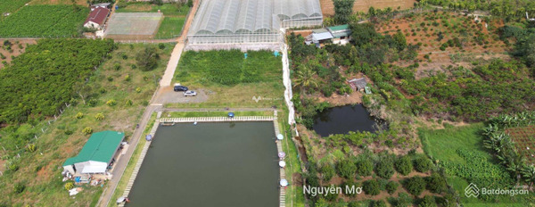 Bán đất 3.5 tỷ Lộc Tân, Bảo Lâm có diện tích thực 1300m2-02