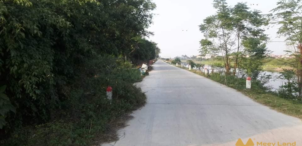 Bán đất khu vực Hồng Minh, Phú Xuyên, 800m2 đất mặt đường đê bê tông 5m