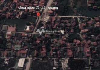 Bán đất vị trí thuận lợi Tân Quang, Văn Lâm. Diện tích 177m2, giá 7,96 tỷ-02