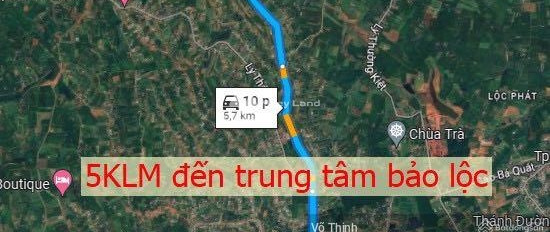 Giá hạt dẻ từ 6 tỷ bán đất diện tích 500m2 trong Tản Đà, Lâm Đồng-03