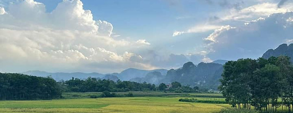 Cần bán đất huyện Trảng Bom tỉnh Đồng Nai giá 2 triệu/m2-02