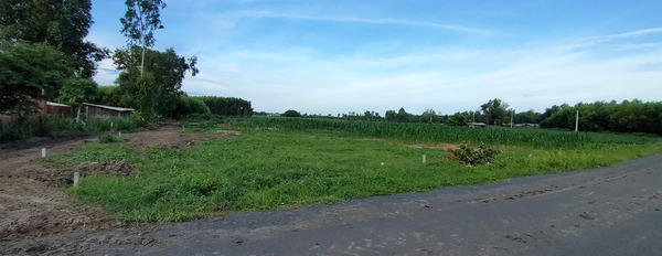 Bán đất xã Láng Dài, mặt tiền đường nhựa, gần sân bay Lộc An, giá sỉ-03