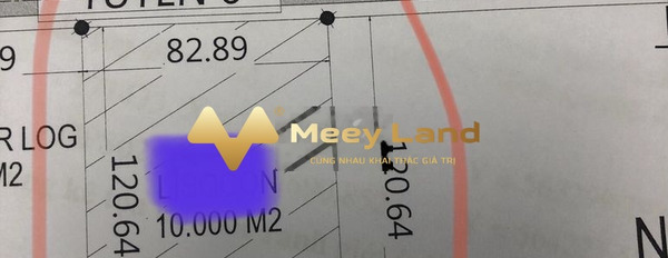 Bán đất có 10000m2, vị trí nằm trên Phường Bạch Sam, Thị Xã Mỹ Hào, giao thông thuận lợi-02