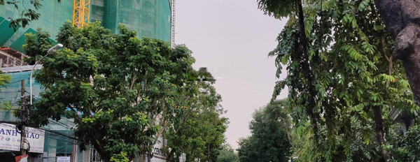 Bán nhà bán ngay với giá chốt nhanh 290 tỷ có diện tích chính 520m2 vị trí đẹp tọa lạc ngay trên Nguyễn Văn Hưởng, Hồ Chí Minh-02