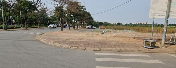 Cần bán gấp lô đất tại phường Trâu Quỳ, quận Gia Lâm, thành phố Hà Nội với giá cực kỳ hấp dẫn-03