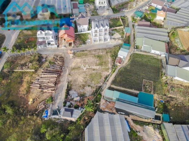 Nằm ngay trên Đa Phú, Đà Lạt bán đất giá bán cơ bản 1.63 tỷ diện tích chính là 130m2