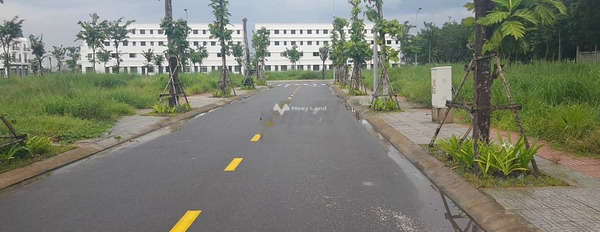 Long Thành, Đồng Nai cho thuê đất giá thuê đặc biệt 1 triệu/tháng có diện tích chung 100m2-03