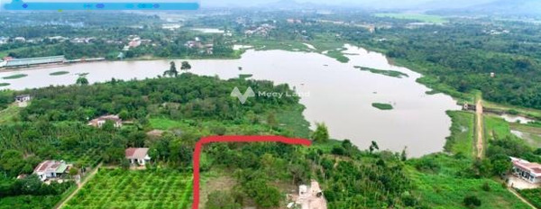 Khoảng 289 triệu bán đất có diện tích gồm 460m2 mặt tiền tọa lạc ngay Cư Kuin, Đắk Lắk-02