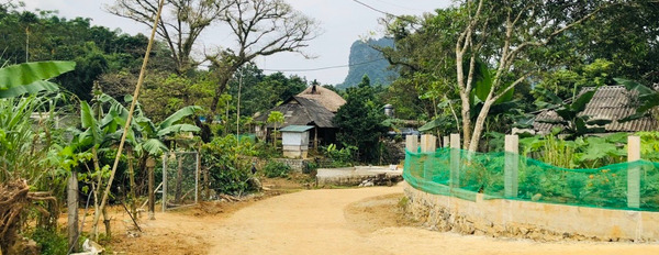 Chính chủ cần bán gấp mảnh đất tại Xã Thung Nai, Hòa Bình-02