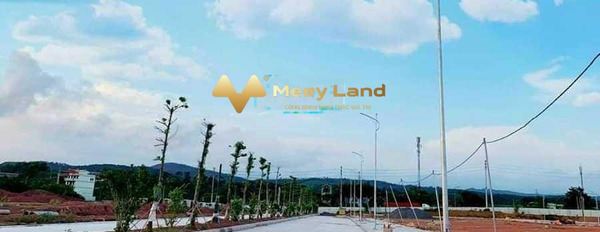 Bán mảnh đất 110m2, giá bán tốt 880 triệu, vị trí đặt tọa lạc gần Quốc Lộ 18, Quảng Ninh-03