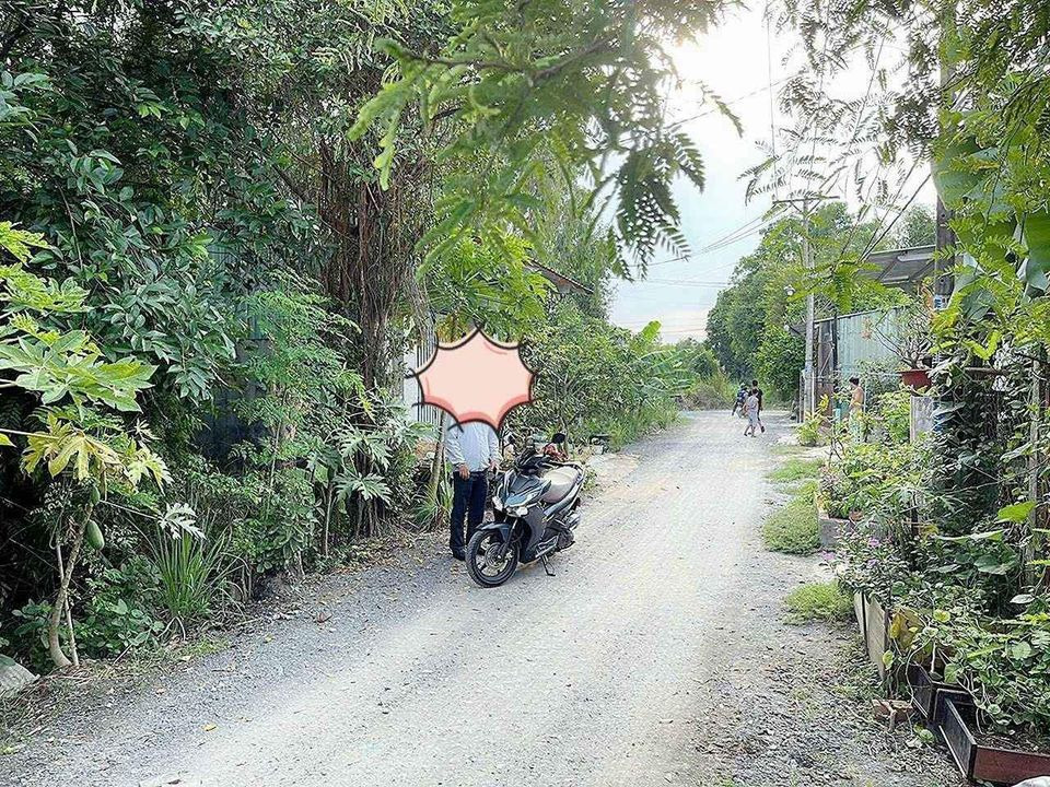 Bán đất huyện Bình Chánh thành phố Hồ Chí Minh giá 5.0 tỷ-0