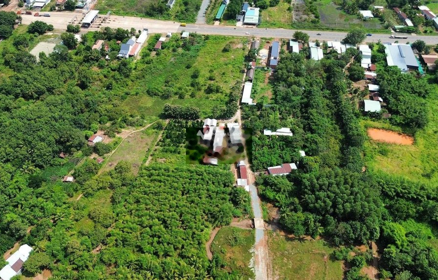 Giá siêu rẻ từ 380 triệu bán đất diện tích rộng là 165m2 vị trí tiện lợi Thanh Lương, Bình Phước-01