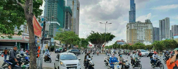 Diện tích khoảng 455m2 bán nhà mặt tiền tọa lạc ngay trên Nguyễn Đình Chiểu, Hồ Chí Minh chính chủ đăng tin-02
