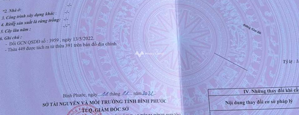 Bán đất 1.4 tỷ Tân Hòa, Bình Phước với diện tích 175m2-02