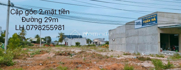 Quốc Lộ 1A, Tuy Phong bán đất diện tích thực như trên hình 200m2-02