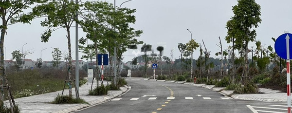 Phía trong Quốc Lộ 17, Thuận Thành bán đất giá siêu ưu đãi từ 2 tỷ diện tích là 95m2-02