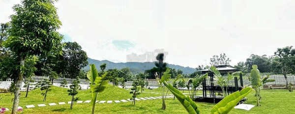 Bán đất vị trí đẹp tọa lạc ở Quốc Oai, Hà Nội. Diện tích 150m2-03