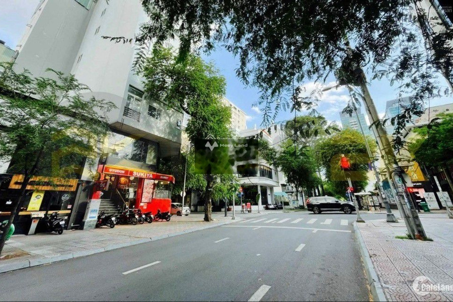 Vị trí đặt gần Mạc Đĩnh Chi, Hồ Chí Minh cho thuê sàn văn phòng giá thuê siêu mềm 80 triệu/tháng có diện tích chính 80m2-01