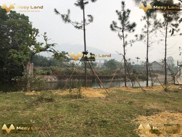 16.56 tỷ bán đất Diện tích nền 2332m2 vị trí tiện lợi ngay tại Huyện Sóc Sơn, Hà Nội-01
