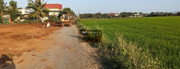 Cần bán lô đất KDC Xuân Phú,Xuân Lộc, cách quốc lộ 400m giá rẻ vô cùng -03