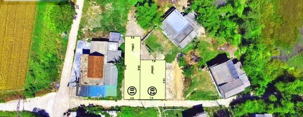Ngay Quảng Lợi, Thừa Thiên Huế bán đất 390 triệu có diện tích tiêu chuẩn 100m2-03