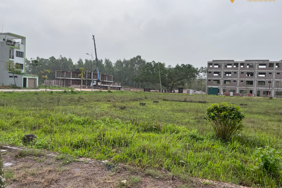 Bán đất tại khu đô thị Xuân Hoà, diện tích 125m2, sổ đỏ nét căng, giá đầu tư-01