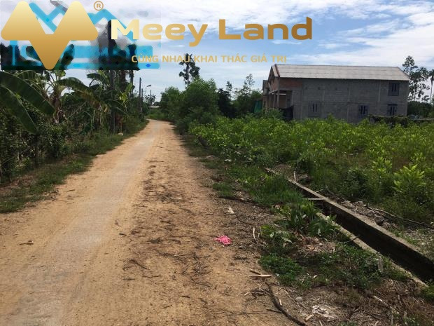 Bán đất 1.5 tỷ Huyện Phong Điền, Tỉnh Thừa Thiên Huế diện tích cụ thể 1500 m2-01