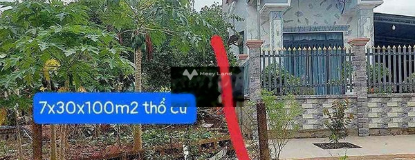 Vị trí đẹp ở Phú Giáo, Bình Dương bán đất giá chốt nhanh từ 420 triệu có một diện tích sàn 210m2-03