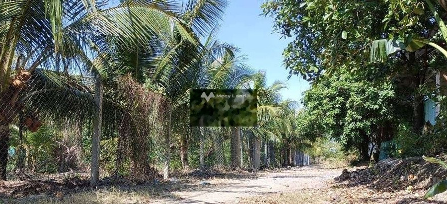 Bán thửa đất vườn 40m×50m Vườn Thơm, Bình Lợi-01