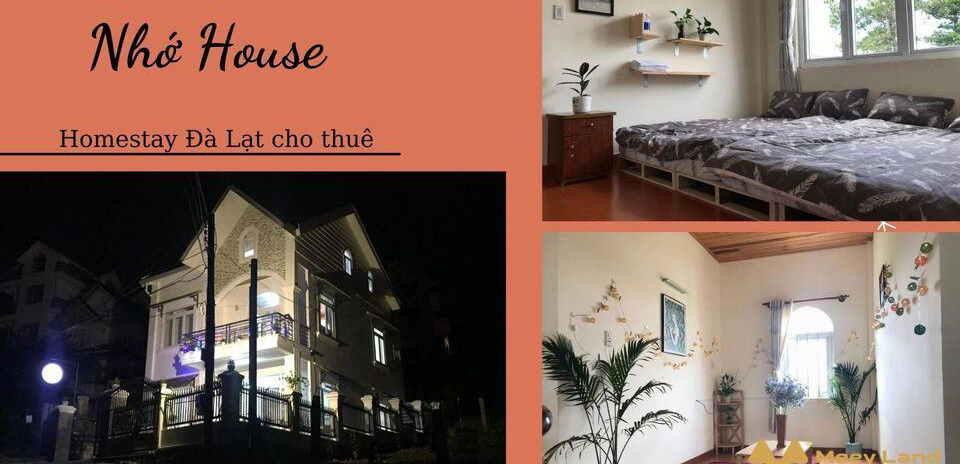 Cho thuê Nhớ House – Homestay Đà Lạt view đẹp