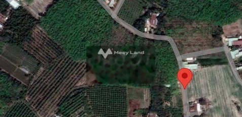 Chà Là, Dương Minh Châu 500 triệu bán đất diện tích rộng rãi 122m2-03