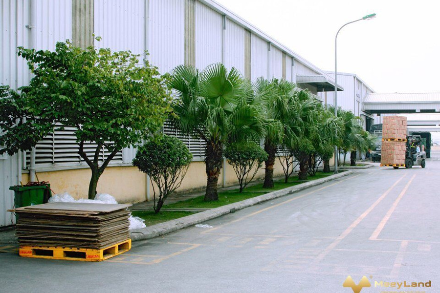 Cho thuê kho xưởng diện tích 4500m2 tại khu công nghiệp Phố Nối B, Mỹ Hào, Hưng Yên-01