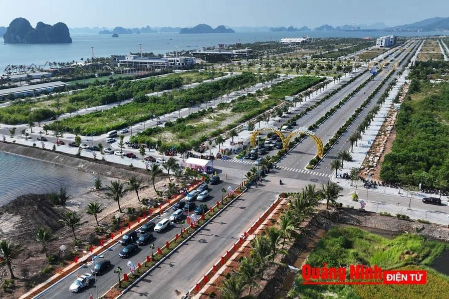Vị trí đẹp tọa lạc ở Vân Đồn, Quảng Ninh bán đất, giá bán rẻ bất ngờ 7.06 tỷ diện tích vừa phải 196m2-01