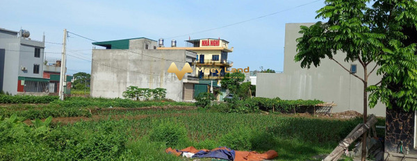 Nhà 5 phòng ngủ bán nhà ở có dt chung 120 m2 bán ngay với giá đặc biệt 5 tỷ vị trí đặt ở tại Ninh Sơn, Ninh Bình, hướng Đông-Nam-03