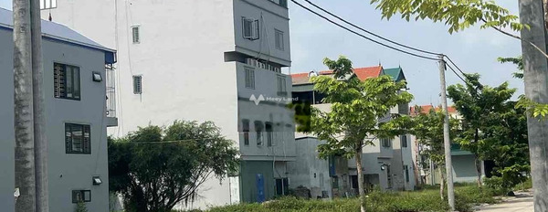 Bán đất vị trí nằm ở Thanh Oai, Hà Nội. Diện tích 90m2-02