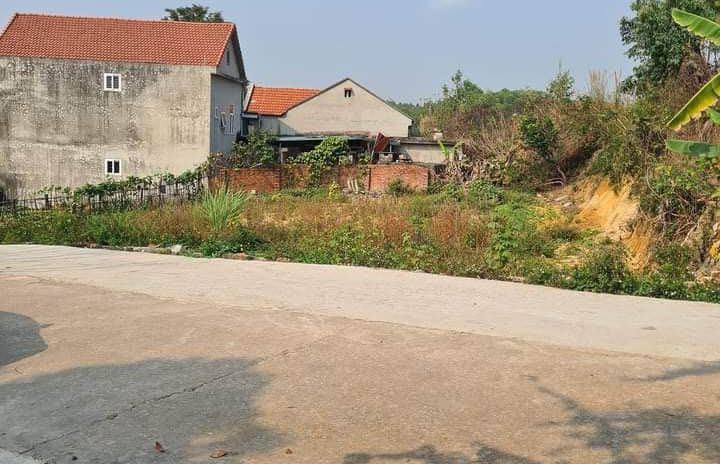 Mua bán đất thành phố Hạ Long tỉnh Quảng Ninh