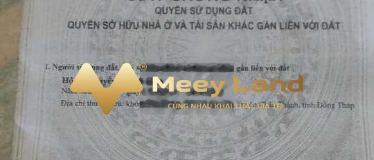 Ngay trên Cái Tàu Hạ, Châu Thành bán nhà giá mua ngay từ 2.75 tỷ nhà này gồm có 2 phòng ngủ 2 WC-02