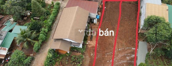 Giá khuyến mãi chỉ 939 triệu bán đất với diện tích thực 132m2 vị trí đặt ở trung tâm Ea Tam, Đắk Lắk-02