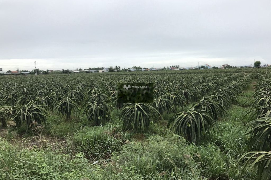 Thanh Phú Long, Châu Thành 320 triệu bán đất với diện tích chuẩn 1000m2-01