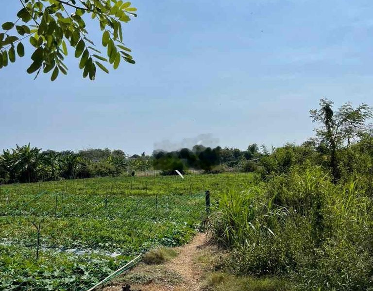 Đất ngộp chỉ 3tr MT Đg Mạc Văn Thành( TL 871)p Long Thuận TP GC - TG -01