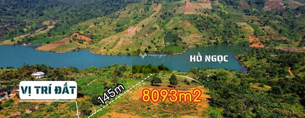 Bán đất 20 tỷ Lộc Tân, Bảo Lâm diện tích 8000m2-03