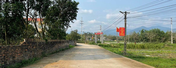 Cần bán nhà riêng huyện Tam Dương, tỉnh Vĩnh Phúc giá 1 tỷ-03