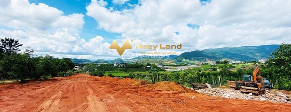 Bán đất tại Đông Thanh, Lâm Hà, Lâm Đồng. Diện tích 501m2, giá 1,18 tỷ-02