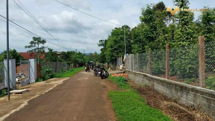 Cần bán lô đất đã có 400m2 thổ cư tại xã Ea Ktur, huyện Cư Kuin, Đắk Lắk-01