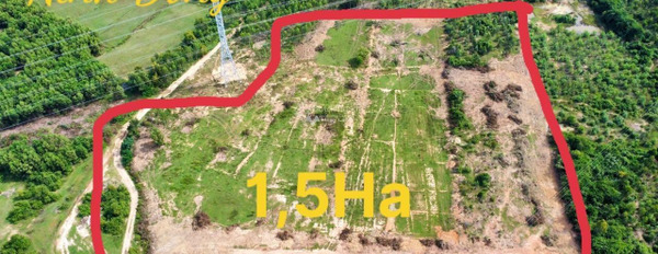 Vị trí ngay trên Đường 16/7, Ninh Đông bán đất giá bán khuyến mãi 300 triệu diện tích sàn là 15342m2-03