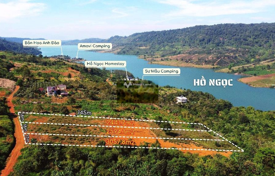 Ở Bảo Lâm, Lâm Đồng bán đất 20 tỷ diện tích rộng là 8000m2-01