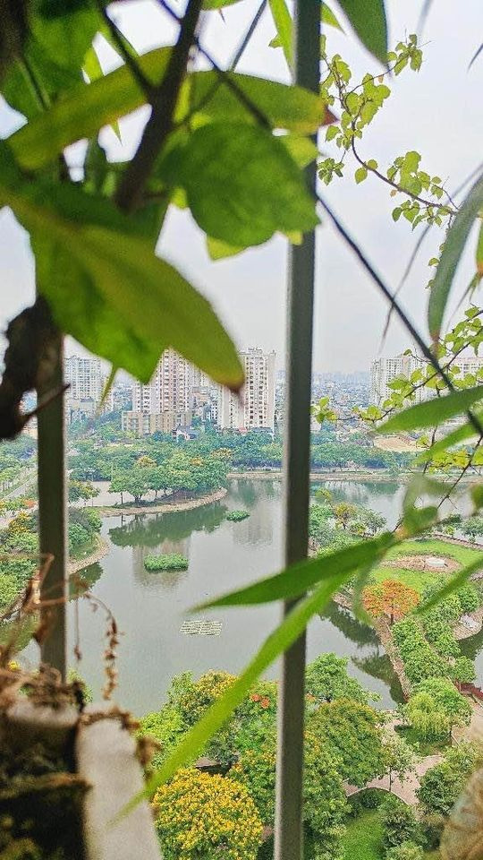 Bán căn hộ chung cư quận Hoàng Mai thành phố Hà Nội giá 2.75 tỷ-7