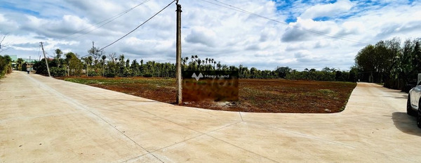 Ngay trên Buôn Ma Thuột, Đắk Lắk bán đất, giá bán ngay chỉ 790 triệu với diện tích chuẩn 120m2-02
