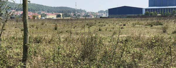Cần bán đất công nghiệp 7000 m2 tại khu công nghiệp Quế Võ II, Bắc Ninh-03